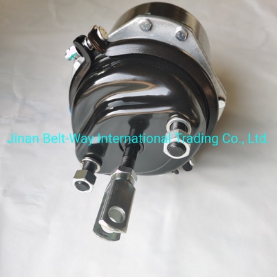 সিনোট্রুক HOWO ট্রাক পার্টস ব্রেক চেম্বার Wg9000360601 বৈদ্যুতিক সিস্টেমের জন্য ব্যাটারি