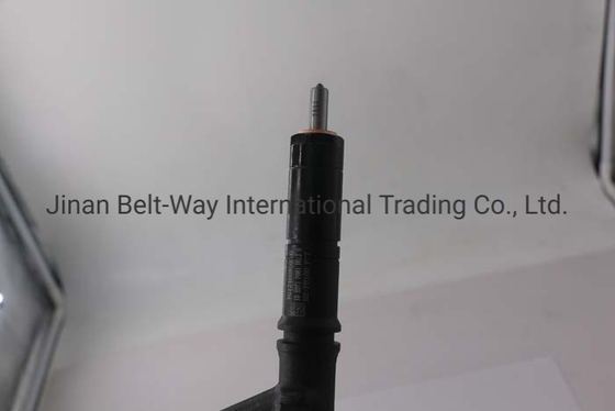 Vg1246080036T1 বছর ওয়ারেন্টিT1 এবং OEM এর জন্য সিনোট্রাক HOWO 70 ইঞ্জিন জ্বালানী ইনজেক্টর
