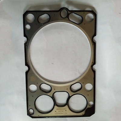 0.300 কেজি মোট ওজন Vg1246040021 সিনোট্রুক HOWO ইঞ্জিনের অংশগুলির জন্য সিলিন্ডার হেড গ্যাসকেট