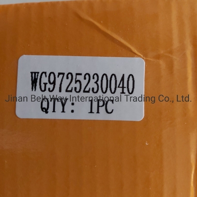 ব্রেক সিস্টেম পার্টস Wg9725230040 সিনোট্রুক HOWO ট্রাকের জন্য ক্ল্যাচ বুস্টার সিলিন্ডার OEM