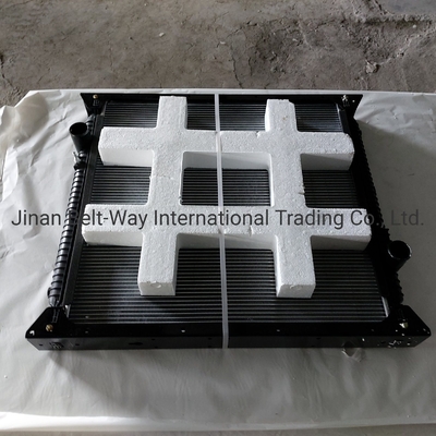 সিনোট্রুক HOWO ট্রাক পার্টস রেডিয়েটার Wg9719530270 Wg9725530011 যোগাযোগ শিপিং খরচ জন্য