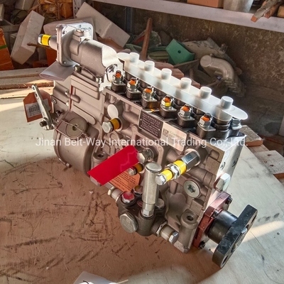 প্রযোজ্য ট্রাক HOWO 371/Shacman F3000/F2000/M3000 ইঞ্জিন জ্বালানী ইনজেক্টর পাম্প Vg1560080022